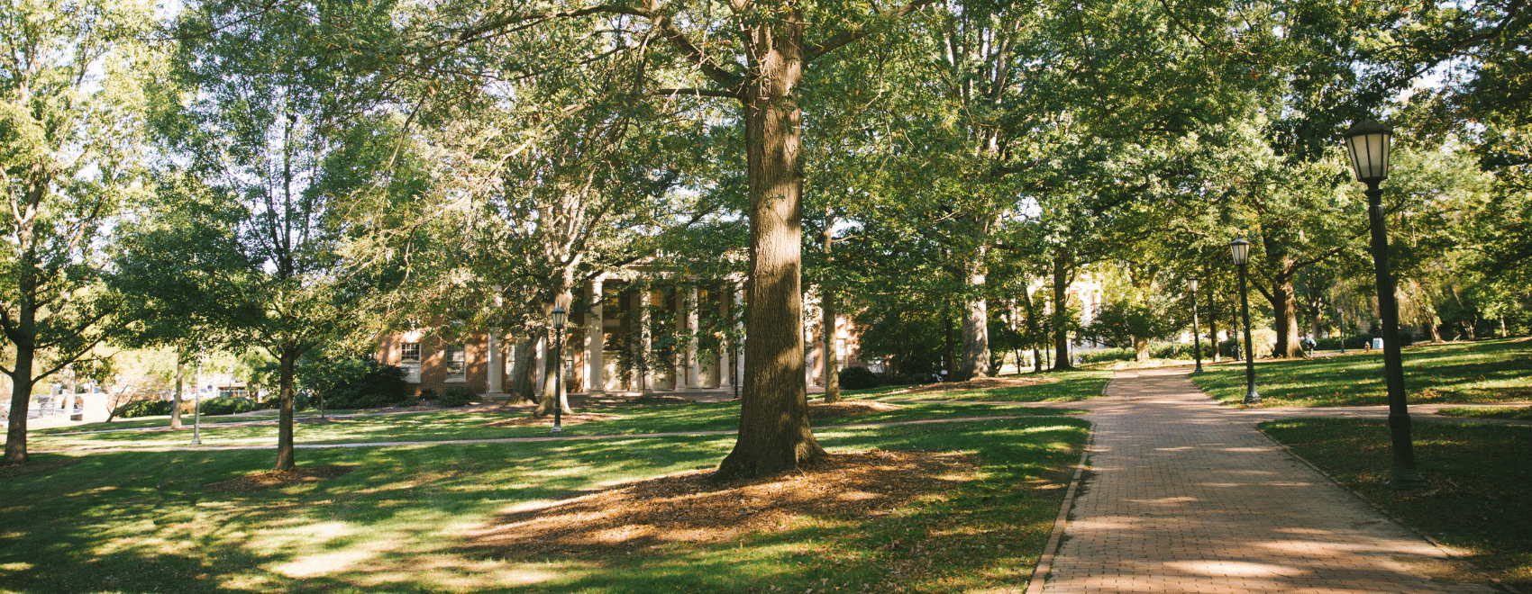 chapel hill movers