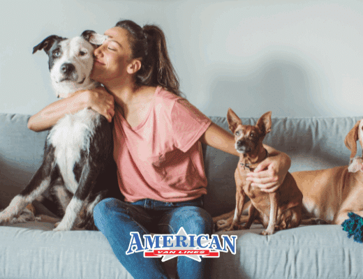 How to Move with Pets: Tips for a Safe Interstate Relocation