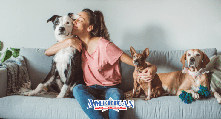 How to Move with Pets: Tips for a Safe Interstate Relocation